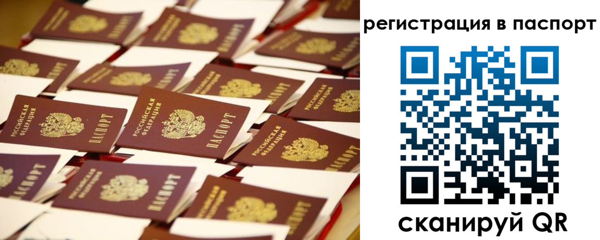 прописка гарантия в Мирном